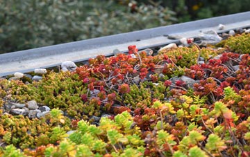 the cost of Knockenbaird green roof installation