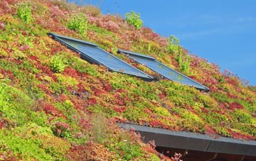 Knockenbaird living roof systems