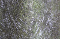 Knockenbaird fibreglass roof work